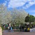 Disneyland Park - 025
