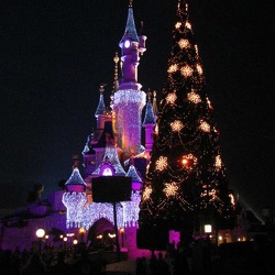 Disneyland Park - photos de nuit - sapin et chateau