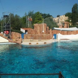 Parc Asterix - theatre poseidon dauphins