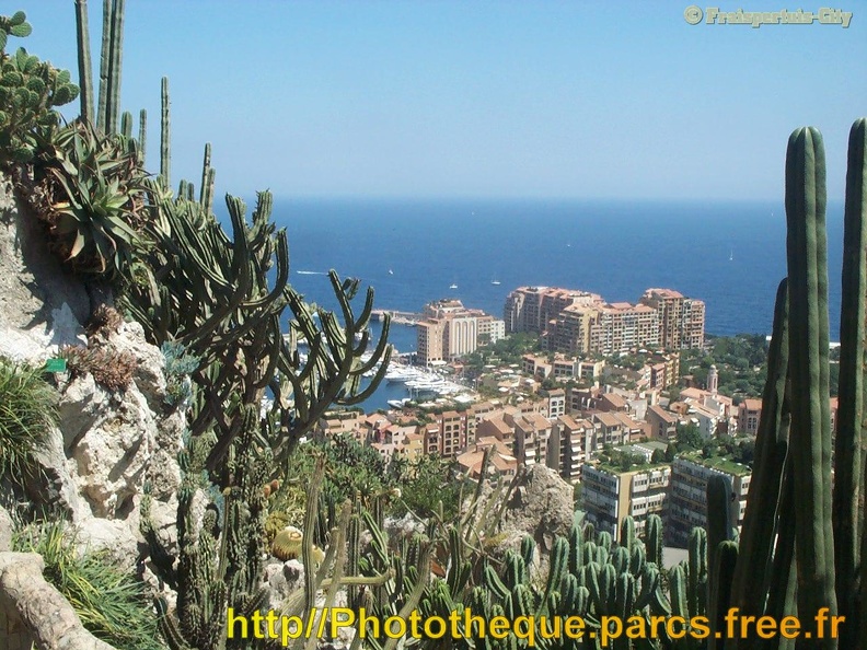 Jardin_exotique_-_Monaco_013.jpg