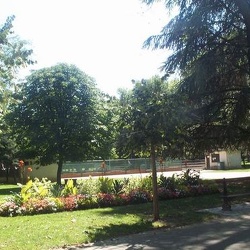 Parc de la Pepiniere - Massifs de fleurs