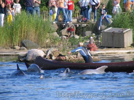 Dolfinarium Harderwijk 001