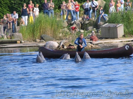 Dolfinarium Harderwijk 002