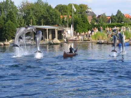 Dolfinarium Harderwijk 003