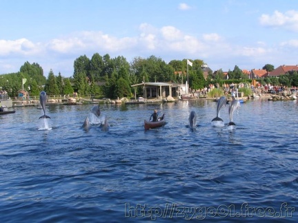 Dolfinarium Harderwijk 004