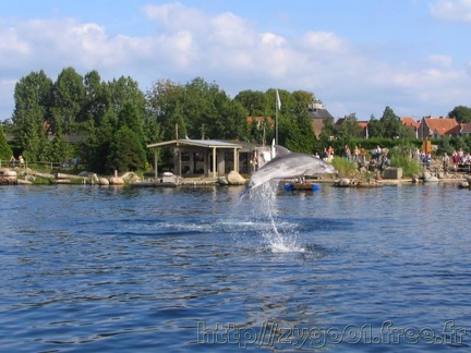 Dolfinarium Harderwijk 006