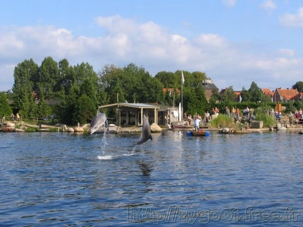 Dolfinarium Harderwijk 007