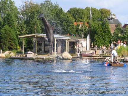 Dolfinarium Harderwijk 008