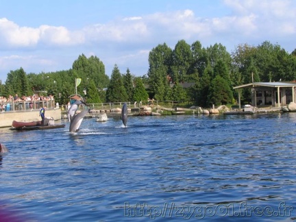 Dolfinarium Harderwijk 009