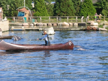 Dolfinarium Harderwijk 012