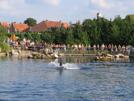 Dolfinarium Harderwijk 015