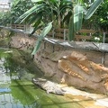 La ferme aux crocodiles 012