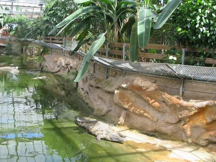 La ferme aux crocodiles 012