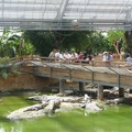 La ferme aux crocodiles 031