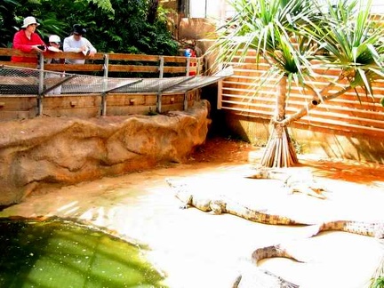 La ferme aux crocodiles 061