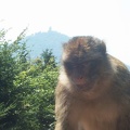 Montagne des singes 024