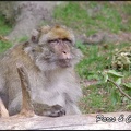 montagne-des-singes-059 GF