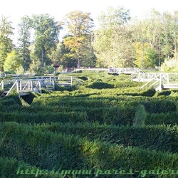Parc de Thoiry - labyrinthe