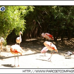 Parc des Oiseaux - la voliere du pantanal