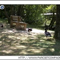 Parc des Oiseaux 015