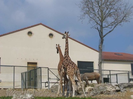 ZooParc de Beauval 012
