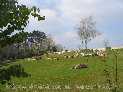 ZooParc de Beauval 023