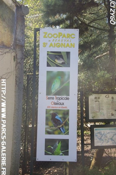 ZooParc_de_Beauval_019.jpg