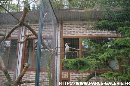 ZooParc de Beauval 014