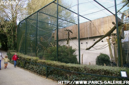 ZooParc de Beauval 015