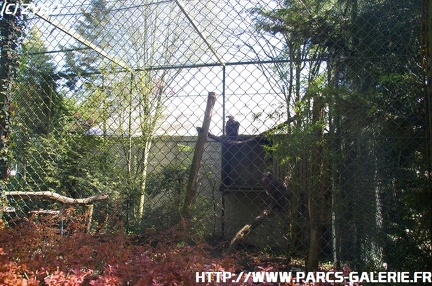 ZooParc de Beauval 026