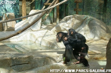 ZooParc de Beauval 001