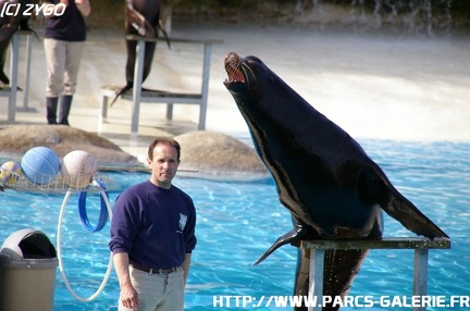 ZooParc de Beauval 034
