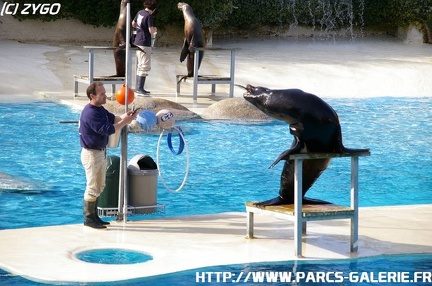 ZooParc de Beauval 046