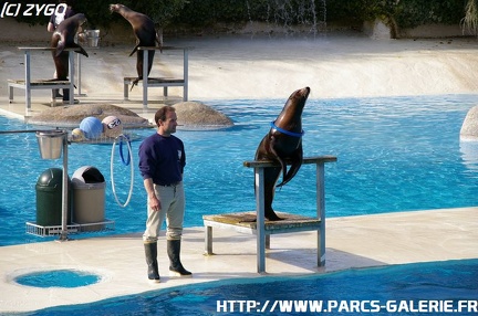 ZooParc de Beauval 055