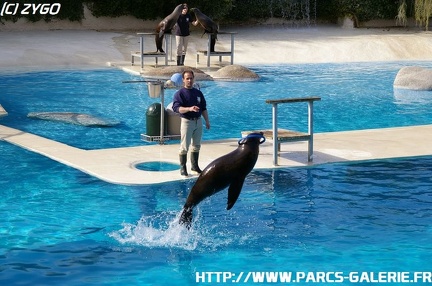 ZooParc de Beauval 056