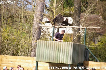 ZooParc de Beauval 010