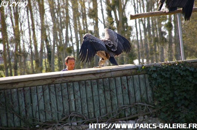 ZooParc_de_Beauval_014.jpg