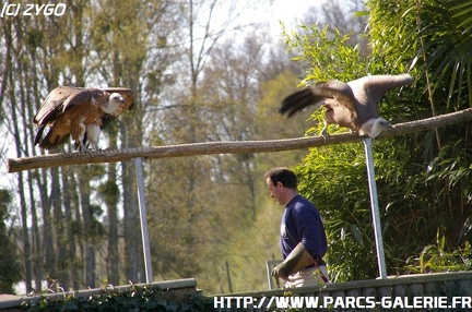 ZooParc de Beauval 015