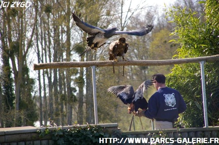 ZooParc de Beauval 028