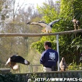 ZooParc de Beauval 039