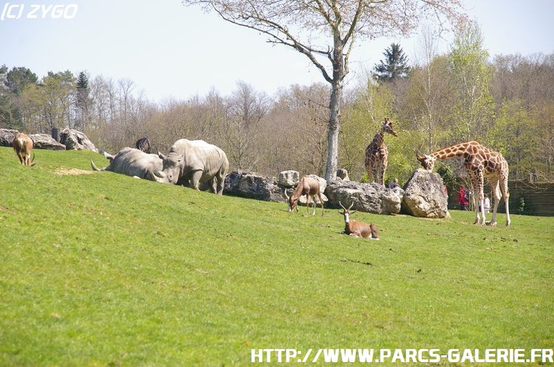 ZooParc_de_Beauval_001.jpg