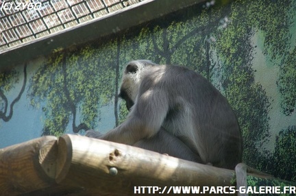 ZooParc de Beauval 027