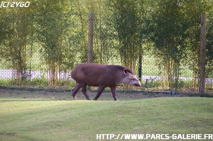 ZooParc de Beauval 002