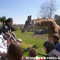 ZooParc de Beauval 004