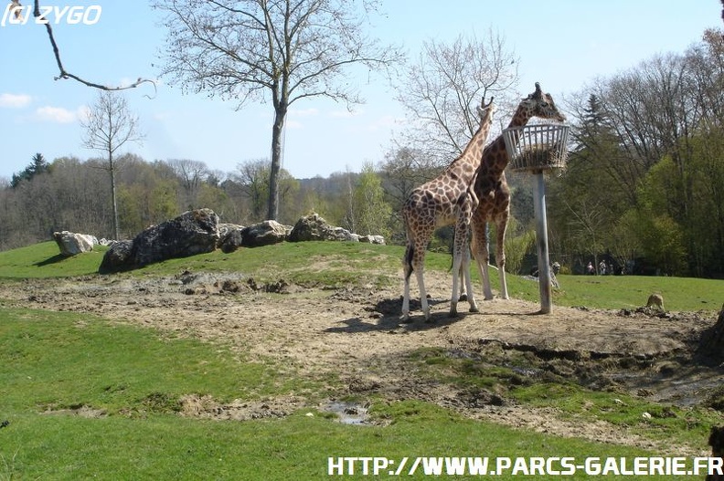 ZooParc_de_Beauval_011.jpg