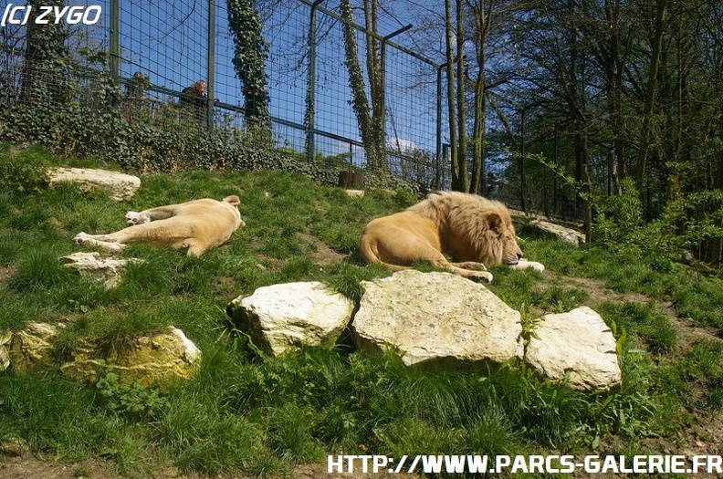ZooParc_de_Beauval_006.jpg