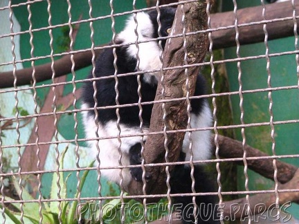 ZooParc - Saint Jean Cap Ferrat 003