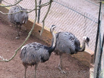 ZooParc - Saint Jean Cap Ferrat 007