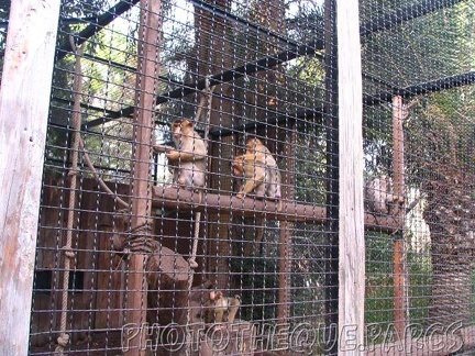 ZooParc - Saint Jean Cap Ferrat 013