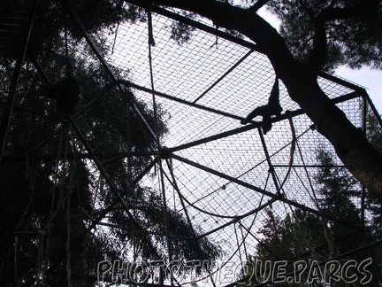 ZooParc - Saint Jean Cap Ferrat 014